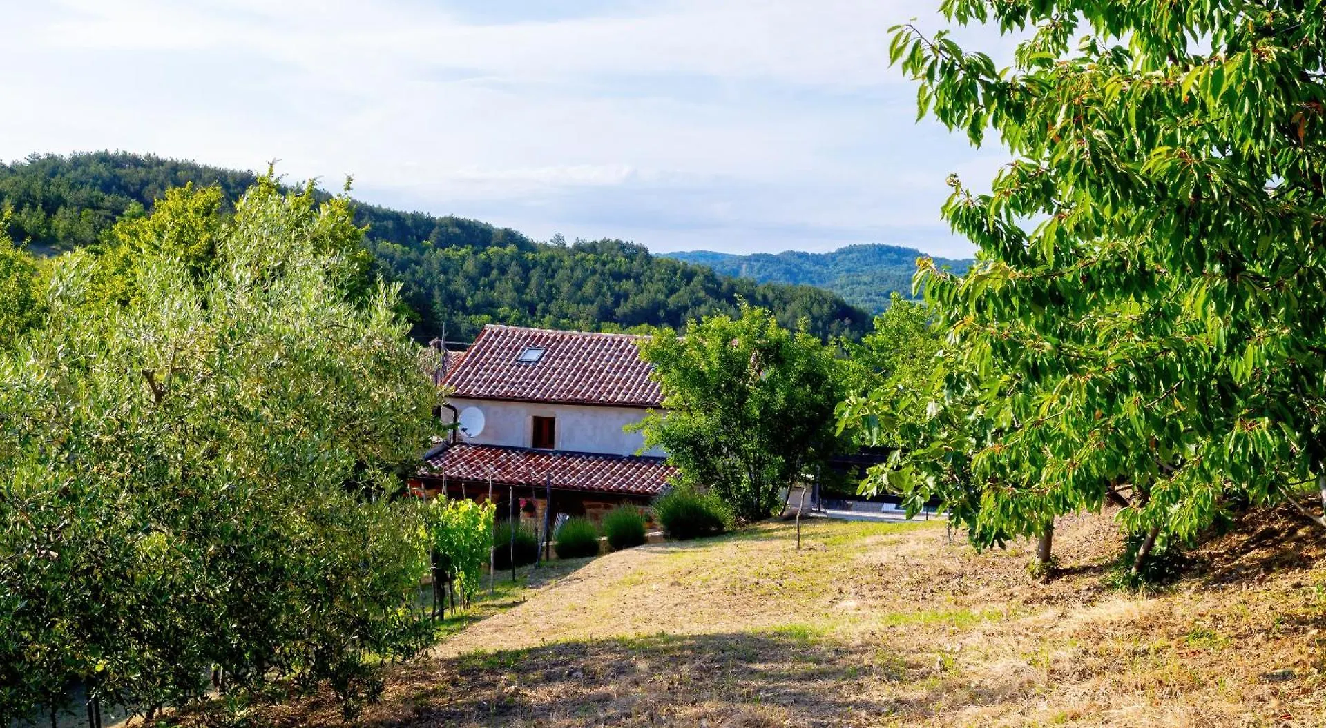 Potpićan Villa Valentina Krbune 0*,